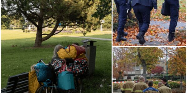 Vrouw dood gevonden in parkje in Oss – dag eerder zocht ze nog hulp: ‘Achteraf denk je, hadden we haar maar in huis genomen’