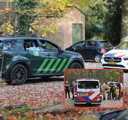 Paniek in het Bos van Ede: Vermiste Jongen (9) na Spannende Zoekactie Veilig Teruggevonden