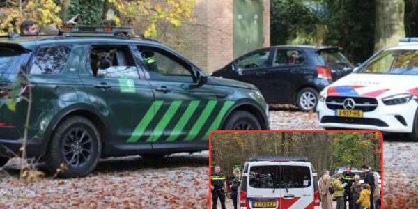 Paniek in het Bos van Ede: Vermiste Jongen (9) na Spannende Zoekactie Veilig Teruggevonden