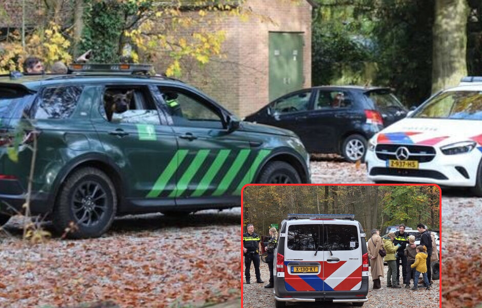 Paniek in het Bos van Ede: Vermiste Jongen (9) na Spannende Zoekactie Veilig Teruggevonden