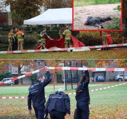 Vrouw dood aangetroffen in parkje in Oss, politie onderzoekt toedracht