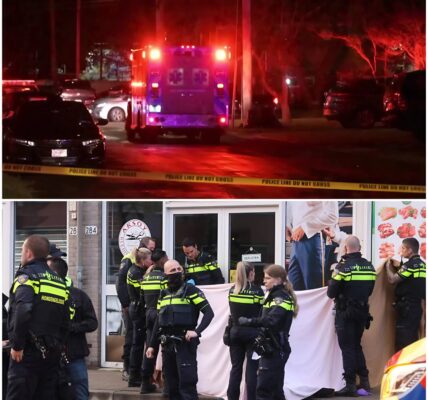 Tiener (17) opgepakt na dodelijke steekpartij op feest in West Babylon: gemeenschap in shock