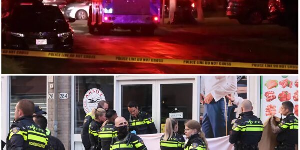 Tiener (17) opgepakt na dodelijke steekpartij op feest in West Babylon: gemeenschap in shock