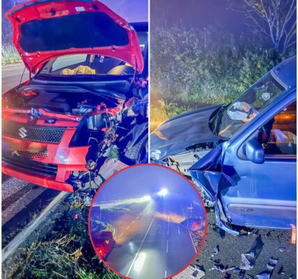 Schwerer Unfall im dichten Nebel bei Stutensee – Zwei Verletzte, darunter ein Kind