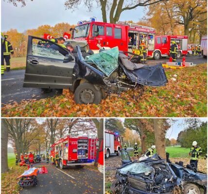 Schwerer Unfall auf der K210 – Autofahrer prallt gegen Baum und wird schwer verletzt