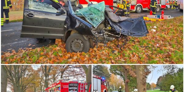 Schwerer Unfall auf der K210 – Autofahrer prallt gegen Baum und wird schwer verletzt