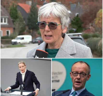 Kieler Grune entschuldigen sich nach Abstimmung mit AfD – „Der Fehler liegt eindeutig bei uns“