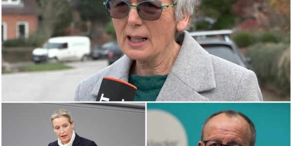 Kieler Grune entschuldigen sich nach Abstimmung mit AfD – „Der Fehler liegt eindeutig bei uns“