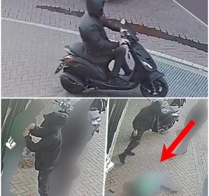 Politie toont beelden van brute mishandeling op Museumplein – slachtoffer belandt tijdelijk in rolstoel
