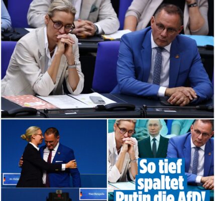Machtkampf Weidel gegen Chrupalla – So tief spaltet Putin die AfD