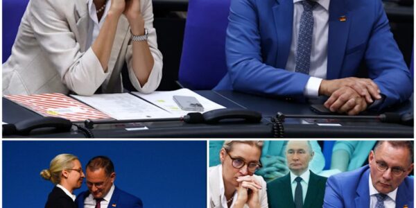 Machtkampf Weidel gegen Chrupalla – So tief spaltet Putin die AfD