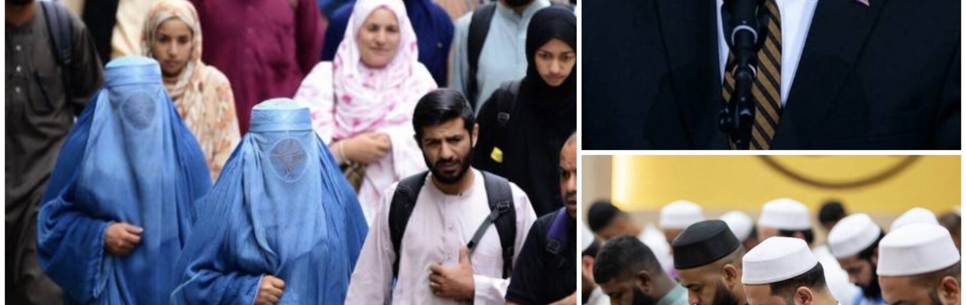 Nieuws: 50% van de moslimimmigranten in Minnesota pleegde immigratiefraude #Minnesota