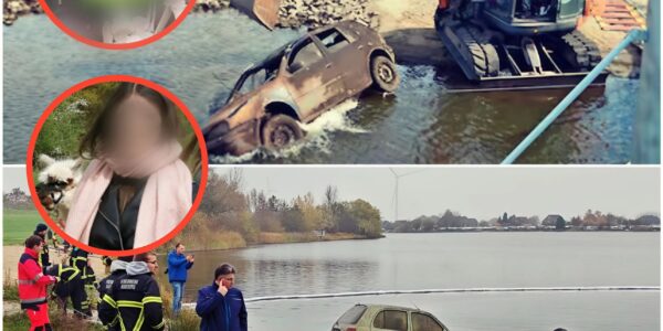 Schockierender Fund: Nach 15 Jahren trocknet See aus – Auto enthullt Skelett mit Schädel der vor 15 Jahren verschwundenen Pink!