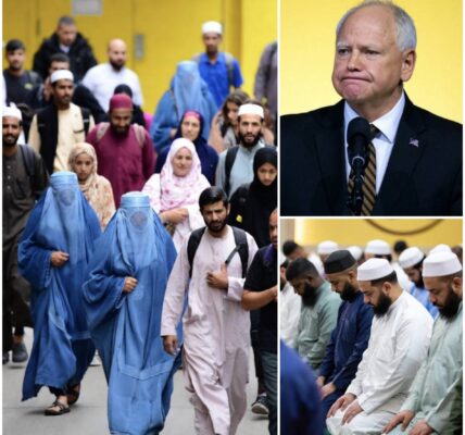 Nieuws: van de moslimimmigranten in Minnesota pleegde immigratiefraude Minnesota