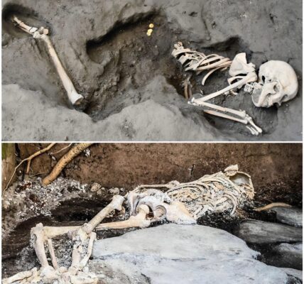 Schockierender Fund nach 15 Jahren: See wird trockengelegt – Auto mit menschlichem Skelett entdeckt