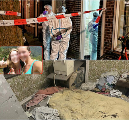 Het Huis van de Stilte: Oude Kelderonthulling in Brabant leidt tot huiveringwekkende ontdekking