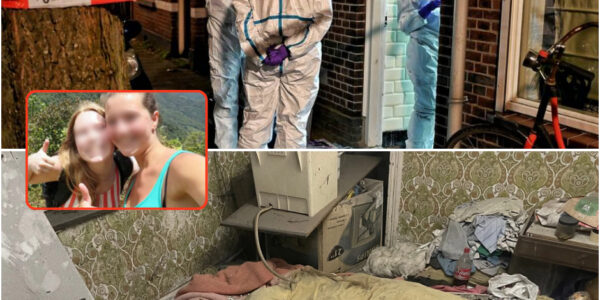 Het Huis van de Stilte: Oude Kelderonthulling in Brabant leidt tot huiveringwekkende ontdekking