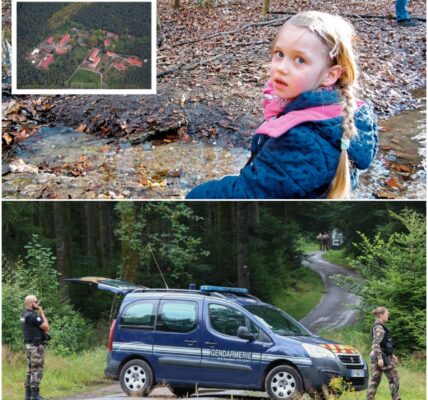 🔎 Vermisste Inga: Neue Spuren aufgetaucht – Ermittler starten geheime Suchaktion nach fast 10 Jahren!