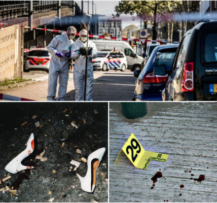 Bloedvlekken en een verdwenen hoge hak onder de brug: een gruwelijke ontdekking leidt tot een angstaanjagende onthulling.