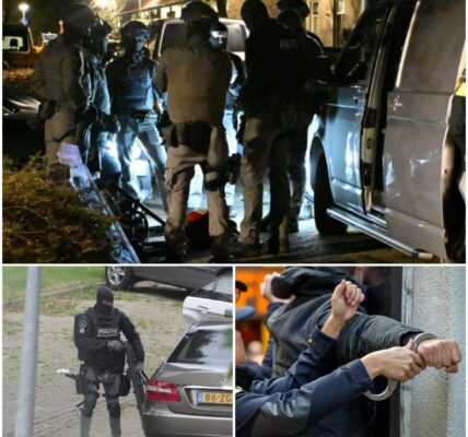 Arrestatieteam valt ’s nachts woning binnen aan de Oliemolen in Alkmaar – grote politieactie leidt tot aanhouding van 36-jarige vrouw