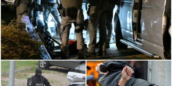 Arrestatieteam valt ’s nachts woning binnen aan de Oliemolen in Alkmaar – grote politieactie leidt tot aanhouding van 36-jarige vrouw