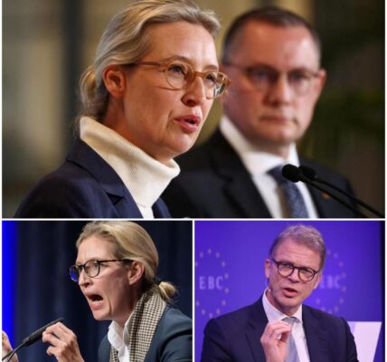 Politisches Beben nach Sonder­treffen der AfD: Führung spricht von „wirtschaftlicher Katastrophe“ – und richtet beispiellosen Angriff gegen Bundespräsident Steinmeier