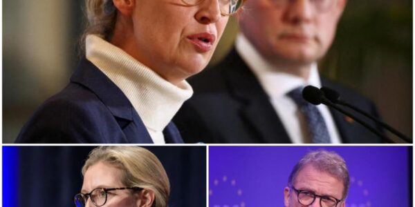 Politisches Beben nach Sonder­treffen der AfD: Führung spricht von „wirtschaftlicher Katastrophe“ – und richtet beispiellosen Angriff gegen Bundespräsident Steinmeier