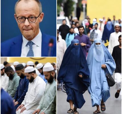 Operation Doppelschild: Deutsche Behörden decken massiven Einwanderungsbetrug auf