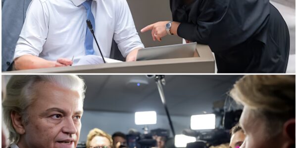 Flemish Topministers Laten Zich Uitspreken Over Controverse Rond Subsidies: Strijd Tussen Vlaamsgezinden en Linkse Organisaties