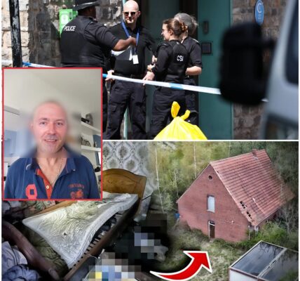 Schockfund unter dem Fußboden: Mann entdeckt geheimen Bunker mit zwei Leichen – der frühere Hausbesitzer (68) gesteht Unglaubliches