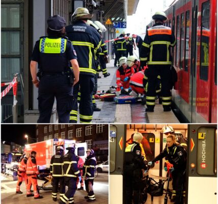 Schock in Hamburg: Ältere Frau stürzt mit Rollator auf Gleis – Zugunfall erschüttert Zeugen zutiefst!