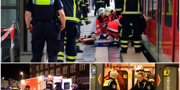 Schock in Hamburg: Ältere Frau stürzt mit Rollator auf Gleis – Zugunfall erschüttert Zeugen zutiefst!