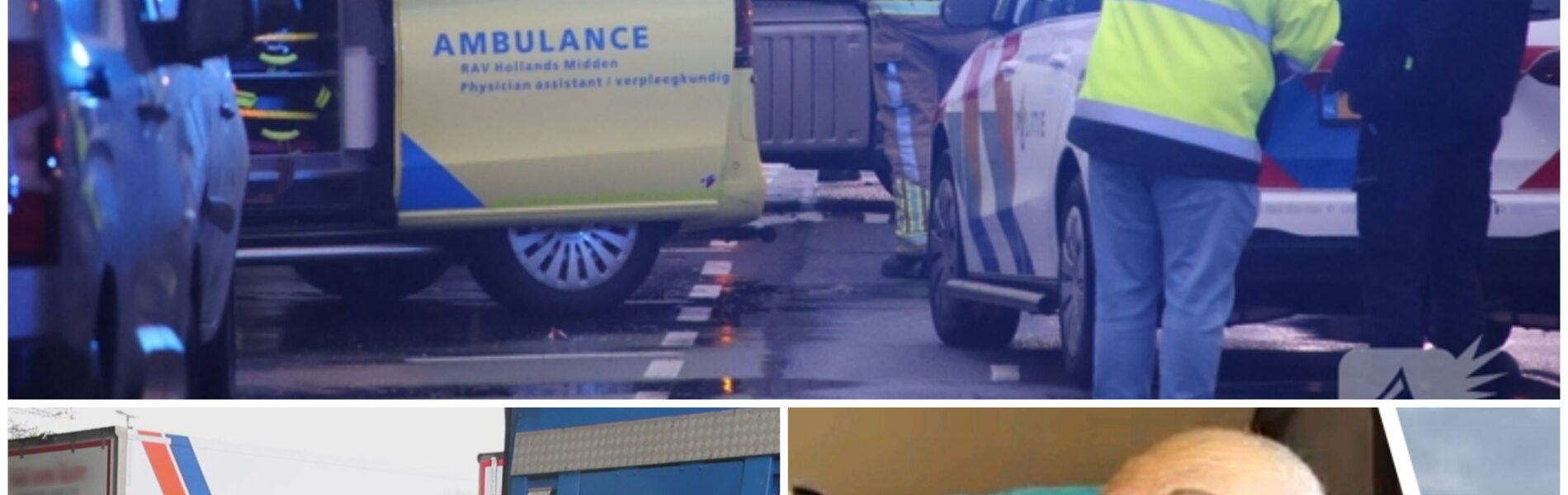 Persoon komt om het leven bij ernstig vrachtwagenongeval in Rijnsburg – Forensische dienst onderzoekt oorzaak