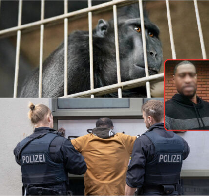 Hamburger vor Gericht: Schockgeständnis zu extremem Tiermissbrauch erschüttert die Öffentlichkeit