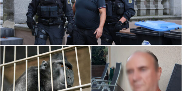 Leidse man (60) bekent schokkende misdrijven: jarenlange mishandeling van apen zorgt voor nationale verontwaardiging