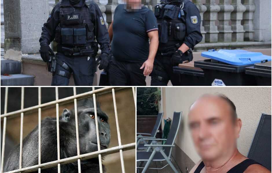 Leidse man (60) bekent schokkende misdrijven: jarenlange mishandeling van apen zorgt voor nationale verontwaardiging