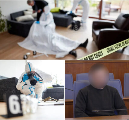 Die Leiche wurde in einem Hotel in Passau gefunden. Der Mörder wurde verhaftet, und sein erschreckendes Geständnis schockierte viele.