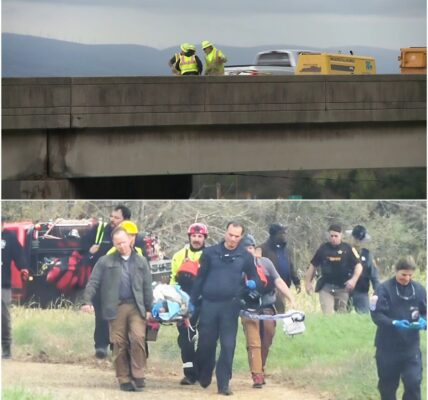 Person rescued after jumping from Route 288 bridge in Goochland