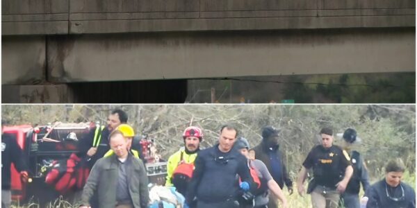 Person rescued after jumping from Route 288 bridge in Goochland