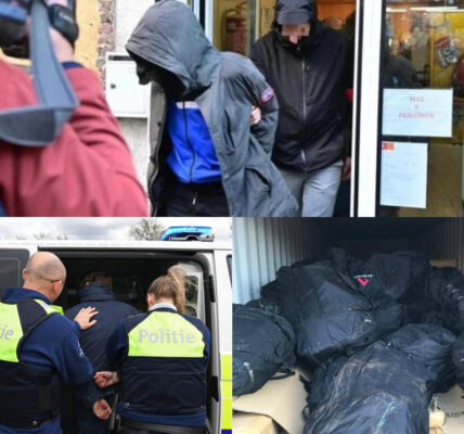 Mega-inval in Noord-Holland: Geheime Mensenhandelbende Opgerold – 600 Agenten Slaan Tegelijk Toe