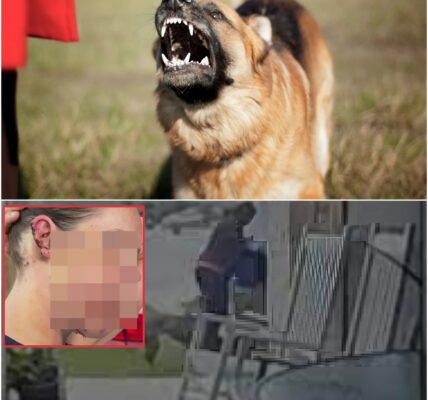 Moeder uit San Tan Valley overleeft brute hondenaanval: “Ik dacht dat hij me zou doden” – en waarschuwt nu heel Nederland en Vlaanderen
