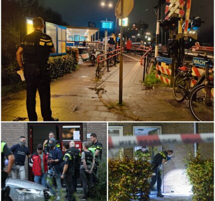 Vrouw (38) dagenlang in Westlandgracht gelegen – politie onderzoekt wat er in de nacht van 7 op 8 november misging