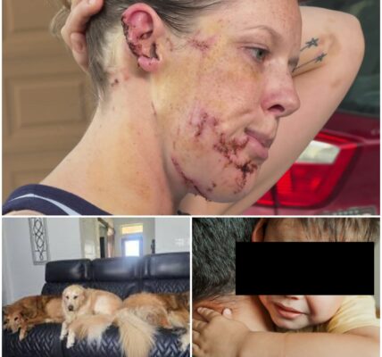 Frau (38) vermutlich mehrere Tage in der Westlandgracht – Polizei untersucht, was in der Nacht vom 7. auf den 8. November geschah