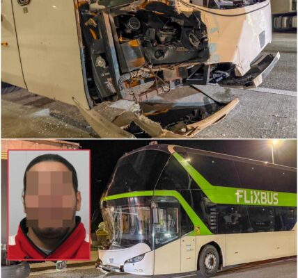 ‼️Mysteriöser Busunfall auf der A6: Hat der Fahrer den Unfall absichtlich verursacht?