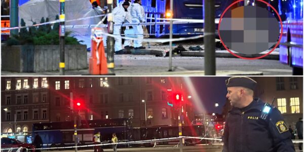 Tragische gebeurtenis in Stockholm: bus rijdt tegen bushalte – veel doden en gewonden, politie boos