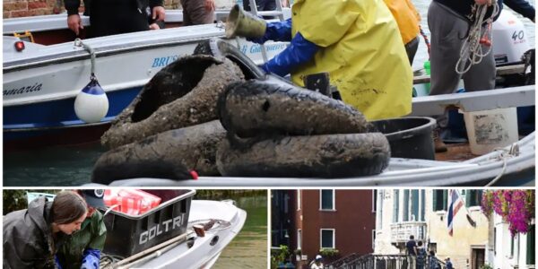 Venedigs Taucherkolonne fischt im Truben – Was auf dem Grund der Lagunenstadt wirklich liegt