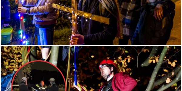 Protest Tegen Bomenkap A2: Actievoerders Verlaten Na Spannende Onderhandelingen