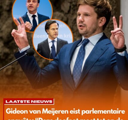 Van Meijeren wil parlementaire enquête en spreekt van ‘grote doofpot’