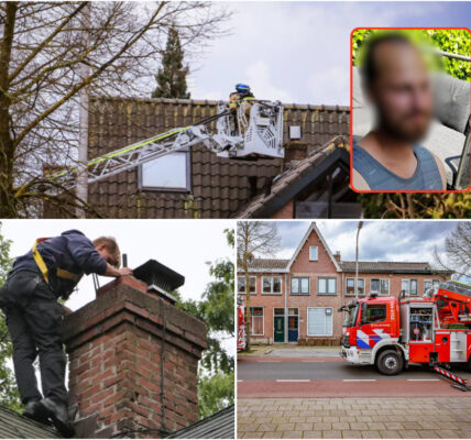 Verdwenen Tiener Na Zeven Jaar Teruggevonden op Onvoorstelbare Plek: In Een Schouw Verzegeld Door de Tijd