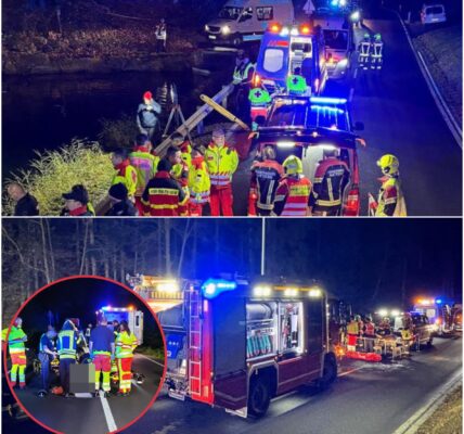 Ein Auto stürzte in einen See – der 29-jährige Fahrer verstarb trotz umgehender Notfallversorgung. Die Polizei ermittelt wegen des Verdachts auf Motormanipulation...